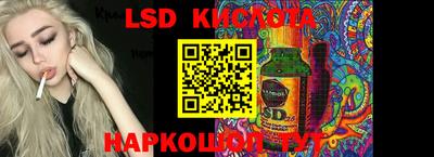 прущие грибы Новодвинск