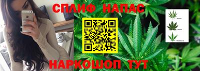 герыч Новозыбков