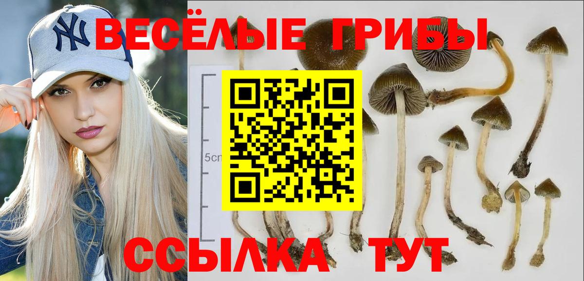 Галлюциногенные грибы Cubensis Улан-Удэ